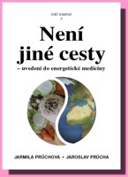 Není jiné cesty (Svět energií 2)