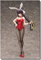 Houki Shinonono Champagne Bunny Sexy Anime Figure