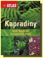 Kapradiny
