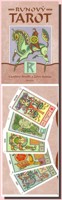 Runový tarot (kniha a 24 karet)