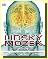 Lidský mozek