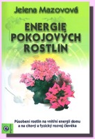 Energie pokojových rostlin