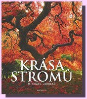 Krása stromů