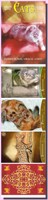 Cats Inspirational Oracle Cards kočičí tarot (78 karet) anglicky