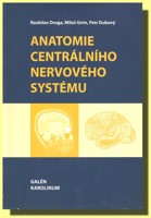 Anatomie centrálního nervového systému