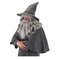 Gandalf Hat