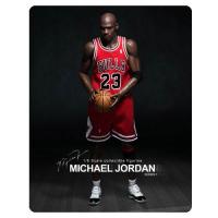 Michael Jordan Real Masterpiece Figure 3