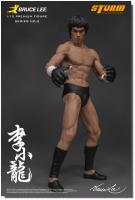 Bruce Lee Premium Figure  06/2017