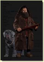 Rubeus Hagrid Robbie Coltrane The Harry Potter Deluxe Figure