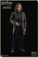 Sirius Black Gary Oldman The Harry Potter Sixth Scale Figure