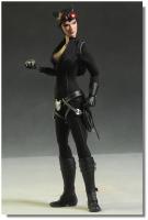 Catwoman Sixth Scale Action Figure