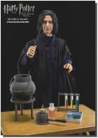 Severus Snape The Harry Potter Figure 